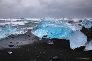 Icebergs on black sand beach-9223